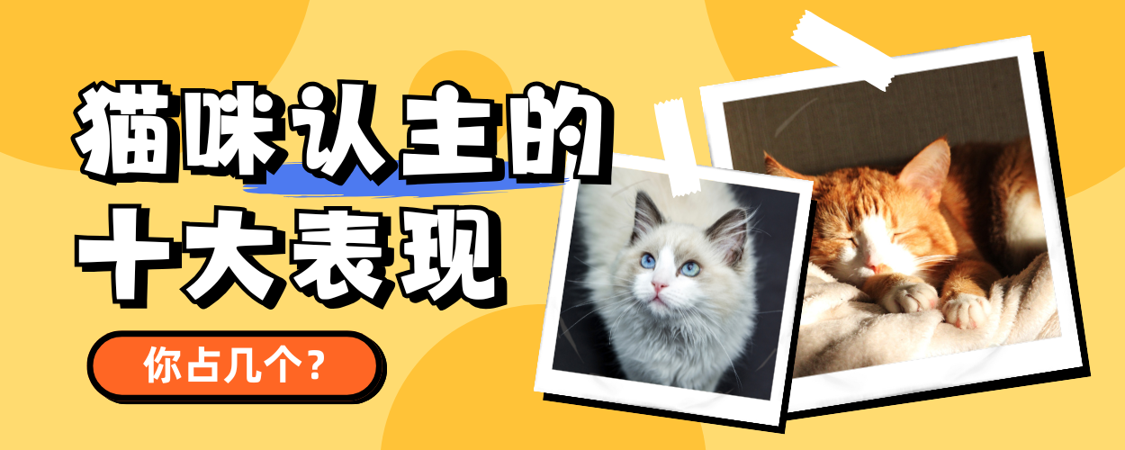 铲氏官-www.chanshiguan.com.cn